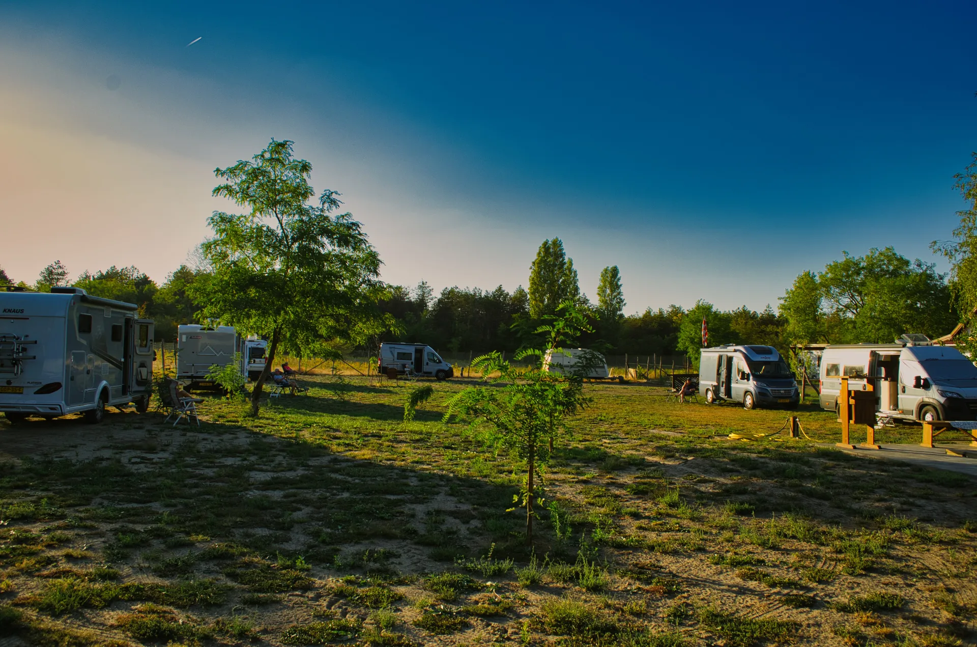Overzicht camperveld met boom